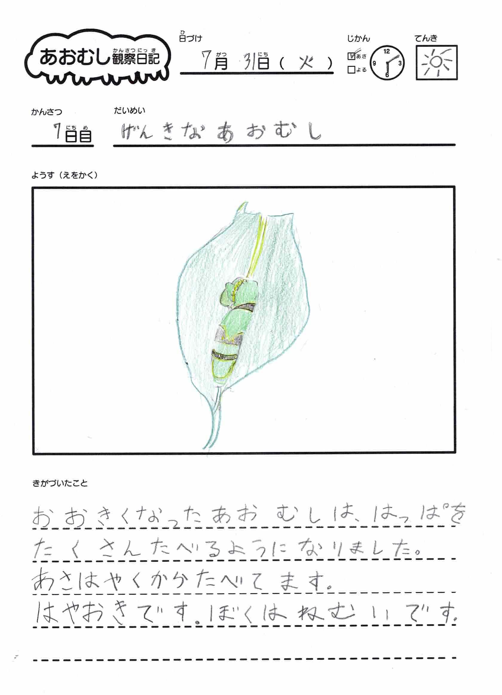 自由研究用テンプレート